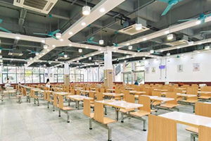 廣東外語(yǔ)外貿(mào)大學(xué)國(guó)際學(xué)院